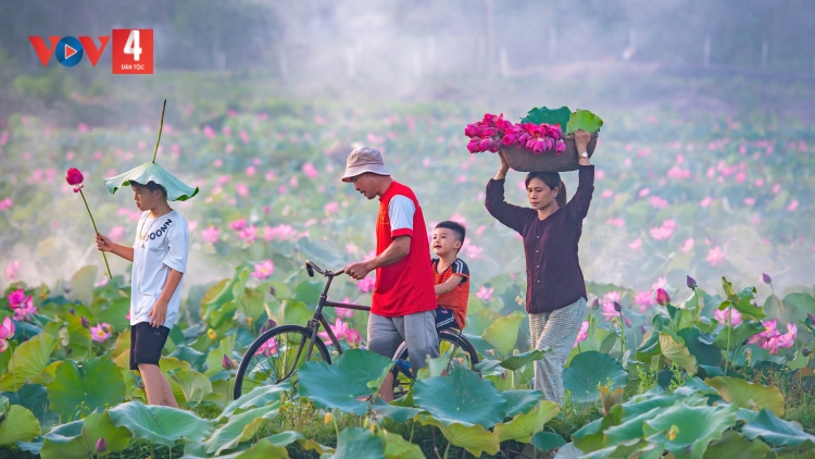 Ca nhạc: ĐẤT NƯỚC TÔI