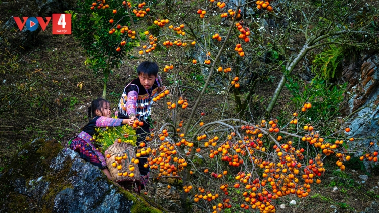 HƯƠNG XUÂN