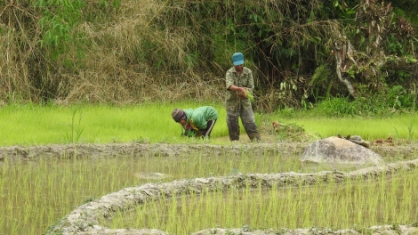 Mơnuih djuai ania Sêdang pơkra mă bơnư̆ kŏng ia pioh ngă hmua, hơmâo tơlơi hơdip trơi pơđao