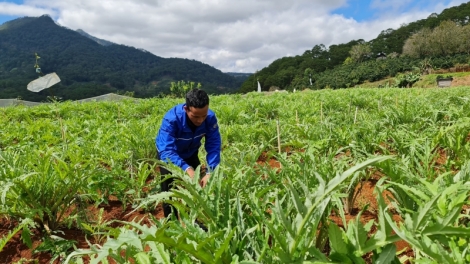 Jơlan hơdră tui hơnong pơkă dêh čar pơplih ƀô̆ mơta lu plơi pla ƀơi Lâm Đồng