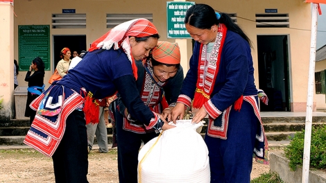 Chính phủ cấp 3.300 tấn gạo dự trữ quốc gia hỗ trợ người dân 6 tỉnh trong thời gian giáp hạt 2023