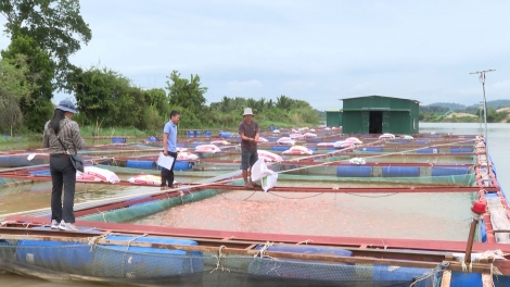 Păn ká châ tơkâ lối hrĭng rơtuh liăn ing long têa a Dak Nông