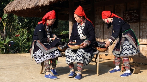 Lầy tzình páo dung hoi 14.11.2023