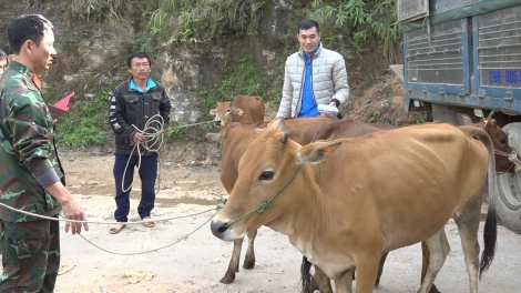 Jơlan hơdră dêh čar pơtrun: Kah pơpha bruă mă kiăo tui gưl, jao tơlơi đăo kơnang