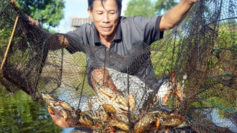 RAONG ARIENG TASIK LABA HU LABAIH 150 TRIEU ĐONG YAOK HA SA VU DI TRA VINH