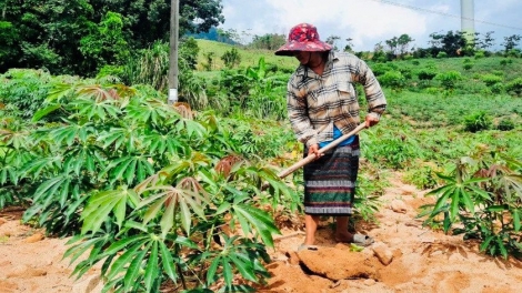 Đảm bảo đất ở, đất sản xuất cho đồng bào dân tộc thiểu số