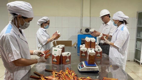 Nông nghiệp Đắk Lắk kỳ vọng vào các dự án chế biến nông sản mới   