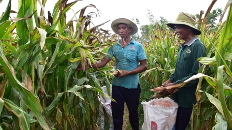 Đồng bào Khmer có thêm một mùa Sên Đôn ta đầm ấm, sung túc