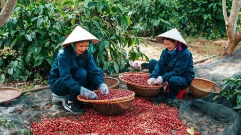 21 rbô hìu bơnhă lơh broă sa kis niam mờ tờm kơphe kơnờm bồ tơngoh kơlôi sơnơng krơi is