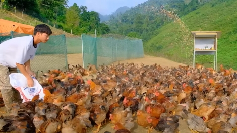 Khởi nghiệp từ phát triển nội dung số, thanh niên Sơn La có thu nhập cả tỷ đồng