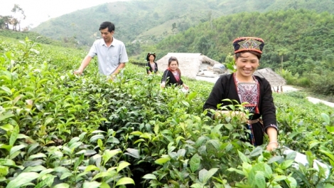 Tuyên Quang – ba glăi bôh tơhnal yak blung a bruă ngă tui tơlơi bơkơnar bơnai hăng rơkơi 