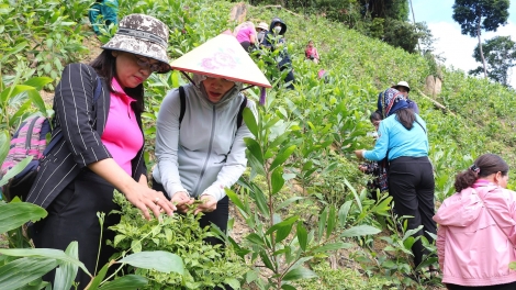 PÂN ĐIL TÂY GIANG TING PA CHOOM BHRỢ BH’RỢ BHRỢ TÊNG CHA ĐHỊ ĐÔNG GIANG