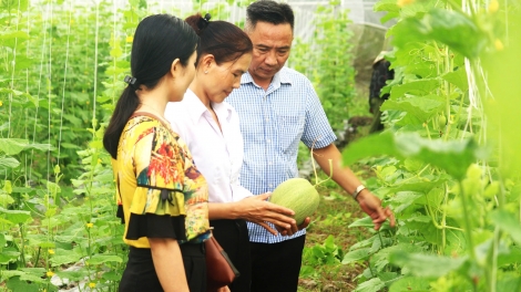  ជោគជ័យក្នុងការនាំយកកសិកម្មបច្ចេកវិទ្យាខ្ពស់ចូលតំបន់ដីទំនាប និងដីចាប់ជាតិជូរនៅខេត្តសុកត្រាំង។