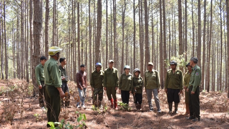Chính sách chi trả dịch vụ môi trường rừng từng bước mang lại nguồn sinh kế ổn định và bền vững 