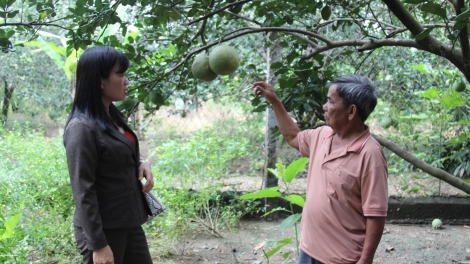 Già làng tuyên truyền đồng bào dân tộc thiểu số giữ đất, làm giàu