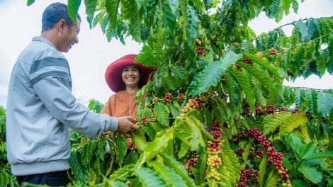 Đắk Mil - huyện biên giới đầu tiên của Tây Nguyên hoàn thành các mục tiêu xây dựng nông thôn mới
