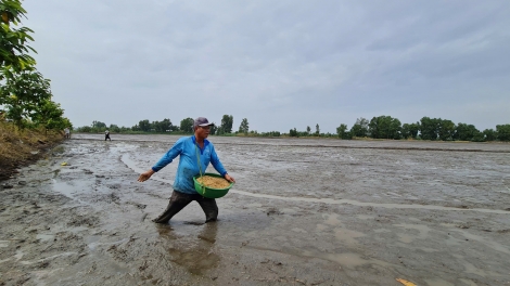 ខេត្តហូវយ៉ាងប្តេជ្ញាអនុវត្តជោគជ័យនូវស្រូវរដូវសម្រក
