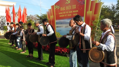 Sức sống mới ở Đăk Ngọk