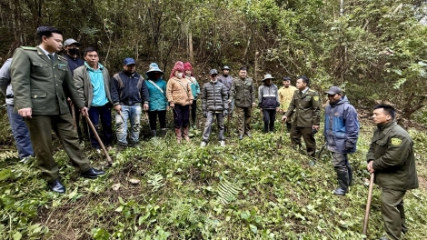 Giữ màu xanh nơi đại ngàn biên giới 