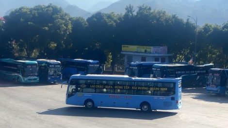 Gần 300 phương tiện tại Lai Châu sẵn sàng vận chuyển khách dịp tết