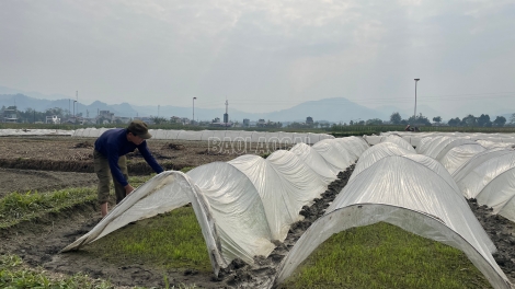 Ngon tô thứ 4 mự 12 căm bườn 02 pì 2025-Phổng xùng Lao Cài khâng chự phong phạ nào cưm hại hức