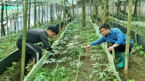 Ngon tô thứ 3 mự 04 căm bườn 02 pì 2025: Po hay me na Lai Châu hựt khửn dệt hăng té pưng cò dà quí nẳng pá
