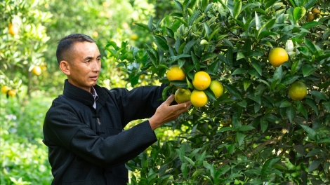 Vị trưởng thôn Suối Thầu và những nghĩa cử vì cộng đồng