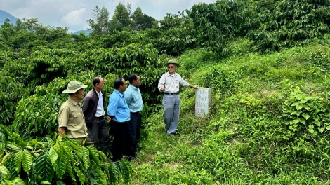 Căn cứ H9 Đắk Lắk - Nửa thế kỷ còn thắm trang sử chiến khu xưa