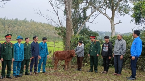 Quảng Bình: Tặng bò và sinh kế giúp gia đình hoàn cảnh khó khăn có thanh niên nhập ngũ