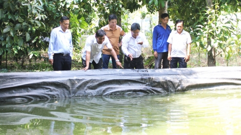 ផ្នែកកសិកម្មខេត្តបេនត្រែ ក្រើនរំលឹកប្រជាជនថែទាំដំណាំ សត្វចិញ្ចឹមនារដូវប្រាំង ទឹកប្រៃលុកលុយឆ្នាំ ២០២៤-២០២៥