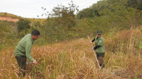 Vướng thông tư, 13.000ha rừng đặc dụng ở Kon Tum không thể khoán cho cộng đồng bảo vệ