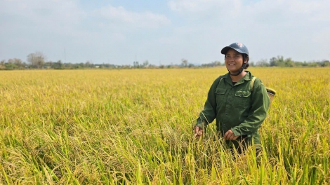 Gia Lai: Giải cơn khát vùng Chư Prông