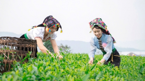 Lai Châu vững bước vào Kỷ nguyên vươn mình của dân tộc