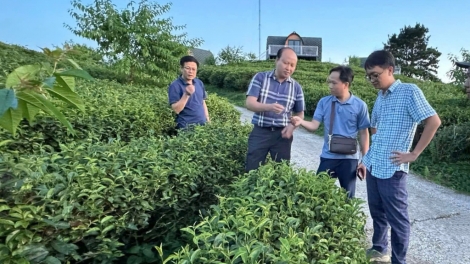 CẦN PANG HẨƯ TÀNG HẾT KIN DÚ PHJA ĐÉN VẰN HẲM ĐÂY
