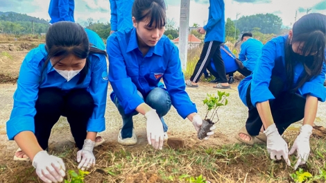 Quảng Ninh: Tháng Thanh niên hướng về vùng khó