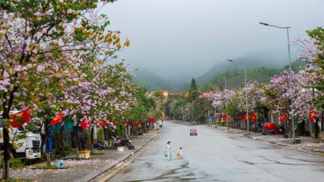 A LƯỚI SLÌ BJOÓC BAN PHÔNG