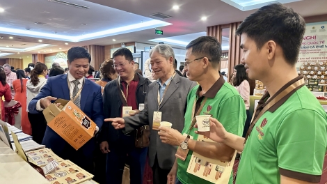 Mơdêk inâi kơphế Việt