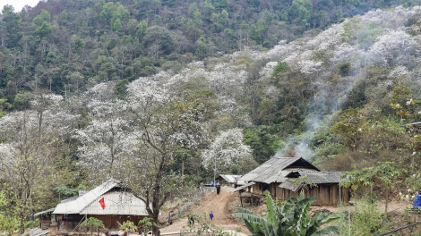 Ngon tô thứ 7 mự 15 căm bườn 3 pì 2025- Điện Biền pảy chự pá bók bàn ké – cọm pày xú vịa mả khày dù lịch tẹt tiêng