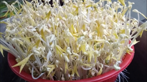RAU LIÊM CHOOM ÂNG M’BHỘC ATUÔNG BẤC NGAI CĂH NĂL