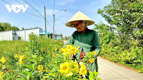 ដំណើរផ្លាស់ប្ដូរជីវិត ពីវាលស្រែរបស់បងប្អូនខ្មែរនៅឃុំញីទ្រឿង។