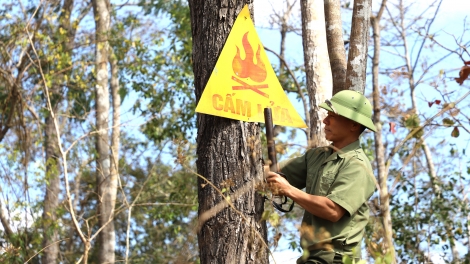 Đắk Nông chủ động phòng chống cháy rừng