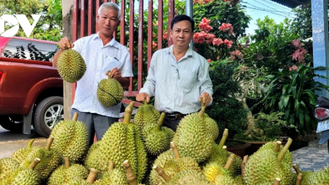 ទៀងយ៉ាង ប្ដេជ្ញាសម្រេចកំណើនសេដ្ឋកិច្ចពី៨%ឡើងទៅ