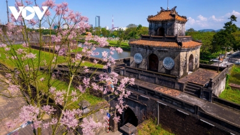 LÊY “VƯƠNG GIẢ CHI HOA” CHƠH LIÊM DHỊ ZR’LỤ C’KIR CỐ ĐÔ HUẾ