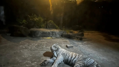 CHA CHRƯIH TOUR LÊY A’ĐHĂH DZĂM BÊL HI DƯM 