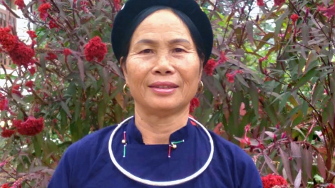 PẢ CẦN TÀY DÚ TUYÊN QUANG HẾT ĐÂY VIỂC BẢN CỎN