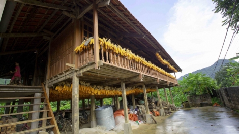BẠI FẤN PANG CHỎI CẦN PHÓ SLƯỚNG HẾT KIN