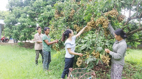  Ngon tô thứ 2 mự 22 căm bườn 4 pì 2025 – Danh đù chương hay khòng na pì nị chí đảy mák đảy mua, Sơn La tính tà vịa khài mák nuối xương xư?