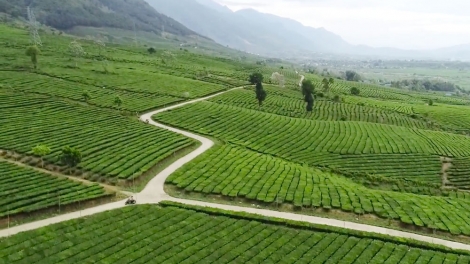  Quam kháo phổng Tày Bắc thứ 3 mự 13 căm bườn 5 pì 2025