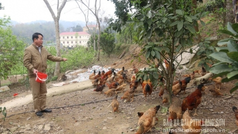 HẾT KIN ĐÂY CHANG SLUÔN FƯỞN CÚA LƯỜN LẦU