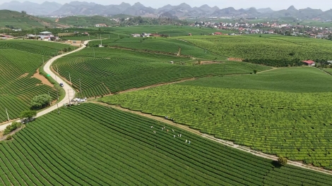 Ngon tô thứ 2 mự 02 căm bườn 6 pì 2025 – Bai thàm ma tang chự phong bệnh cô vít 19